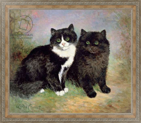 Постер A Pair of Pussy Cats с типом исполнения На холсте в раме в багетной раме 484.M48.310