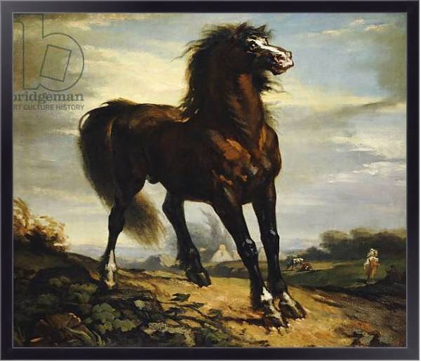 Постер The Horse с типом исполнения На холсте в раме в багетной раме 221-01