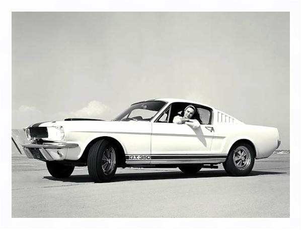 Постер Shelby GT350 '1965 с типом исполнения На холсте в раме в багетной раме 221-03