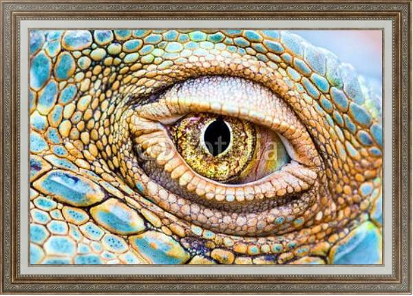 Постер Глаз дракона с типом исполнения На холсте в раме в багетной раме 595.M52.330