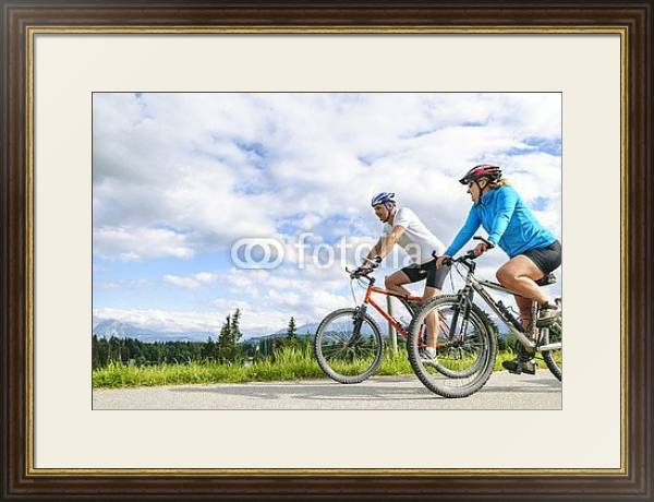 Постер Путешествие на велосипедах с типом исполнения Под стеклом в багетной раме 1.023.036