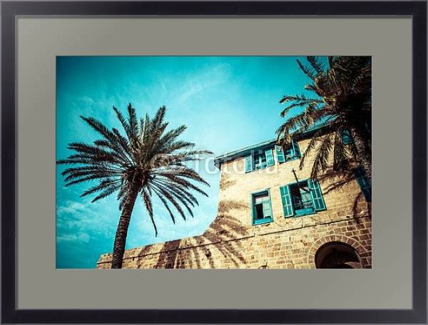 Постер Дом с пальмами в Яффо, на юге старой части Тель-Авива, Израиль с типом исполнения Под стеклом в багетной раме 221-01