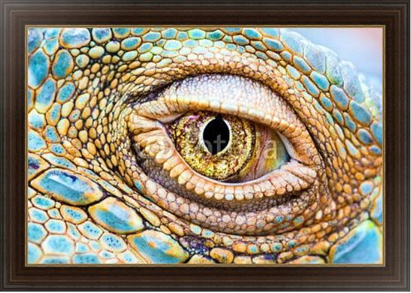 Постер Глаз дракона с типом исполнения На холсте в раме в багетной раме 1.023.151