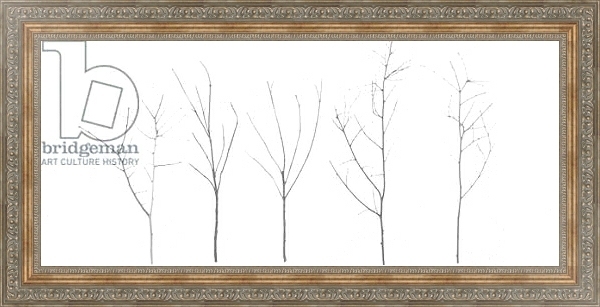 Постер Territori Innevati - cinque alberi giorno, 2012, photographic contamination с типом исполнения На холсте в раме в багетной раме 484.M48.310
