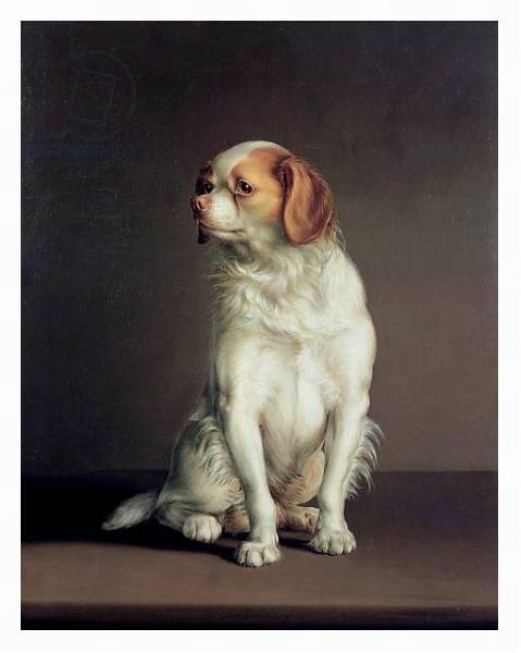Постер Portrait of a King Charles Spaniel с типом исполнения На холсте в раме в багетной раме 221-03