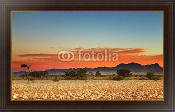 Постер Красочный закат в пустыне Калахари, Намибия с типом исполнения На холсте в раме в багетной раме 1.023.151