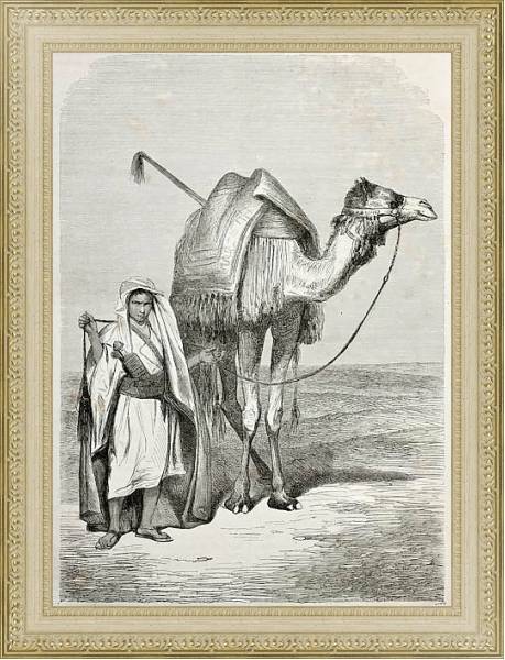Постер Boy holding camel's reins. Created by Pottin, published on Le Tour du Monde, Paris, 1864 с типом исполнения Акварель в раме в багетной раме 484.M48.725