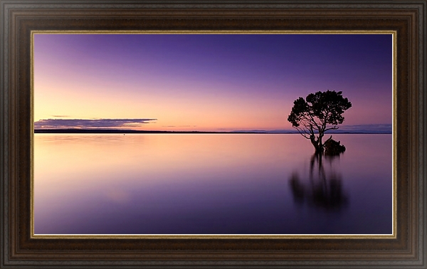 Постер Дерево в воде на закате с типом исполнения На холсте в раме в багетной раме 1.023.151