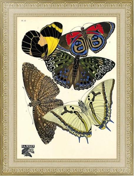 Постер Papillons by E. A. Seguy №4 с типом исполнения Акварель в раме в багетной раме 484.M48.725