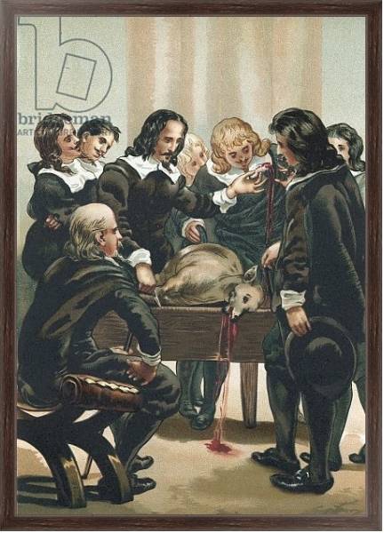 Постер William Harvey demonstrating the circulation of the blood с типом исполнения На холсте в раме в багетной раме 221-02