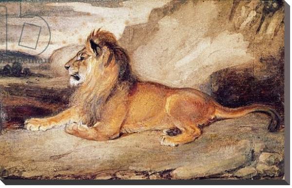 Постер Lion Resting с типом исполнения На холсте без рамы
