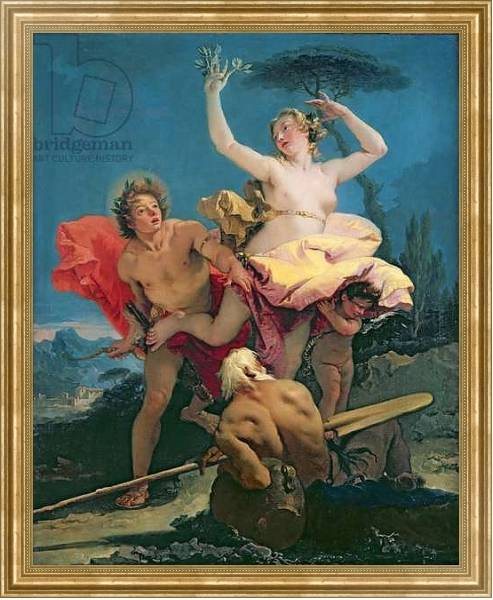 Постер Apollo and Daphne, c.1743-44 с типом исполнения На холсте в раме в багетной раме NA033.1.051