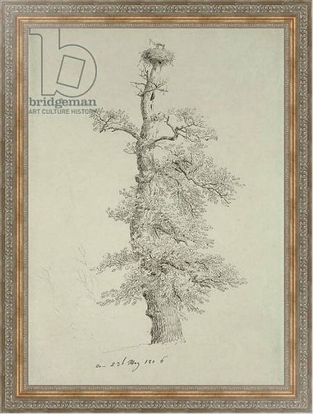Постер Ancient Oak Tree with a Stork's Nest, 23rd May 1806 с типом исполнения На холсте в раме в багетной раме 484.M48.310