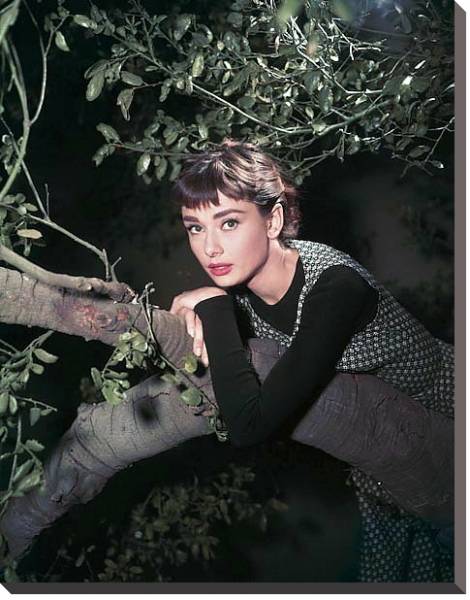 Постер Hepburn, Audrey (Sabrina) 12 с типом исполнения На холсте без рамы