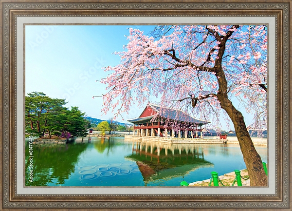 Постер Кенбоккун, дворец в вишневом саду весной, Южная Корея с типом исполнения На холсте в раме в багетной раме 595.M52.330