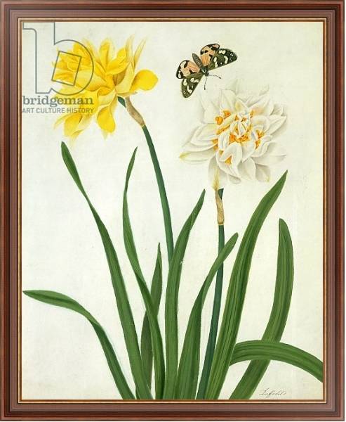 Постер Narcissi and Butterfly с типом исполнения На холсте в раме в багетной раме 35-M719P-83