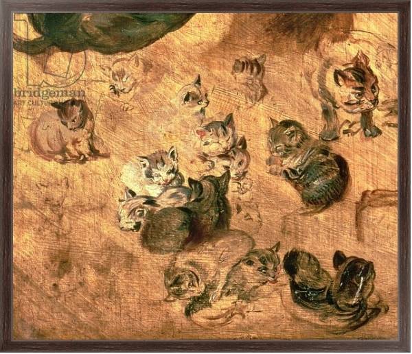 Постер Study of cats, 1616 с типом исполнения На холсте в раме в багетной раме 221-02