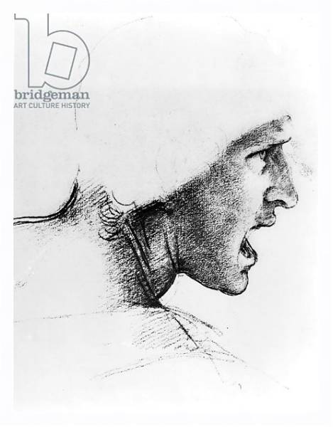 Постер Study for the head of a soldier in 'The Battle of Anghiari', c.1504-05 с типом исполнения На холсте в раме в багетной раме 221-03