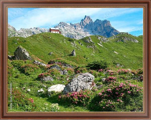 Постер Австрия. Природный парк  Riedingtal с типом исполнения На холсте в раме в багетной раме 35-M719P-83