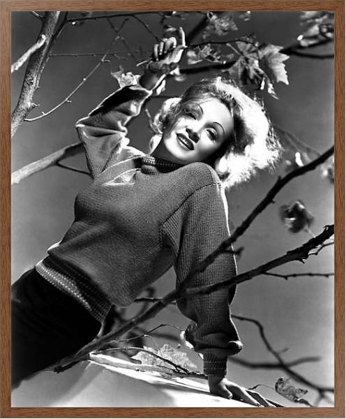 Постер Dietrich, Marlene 2 с типом исполнения На холсте в раме в багетной раме 1727.4310