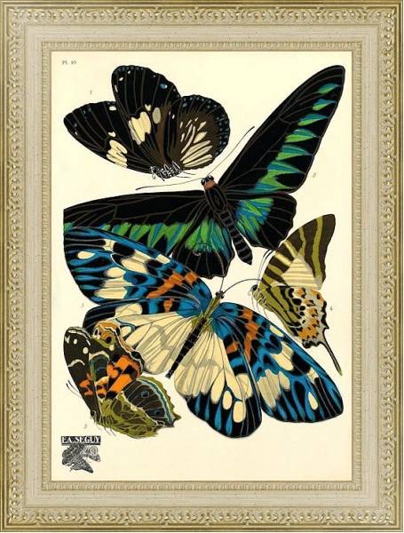 Постер Papillons by E. A. Seguy №2 с типом исполнения Акварель в раме в багетной раме 484.M48.725