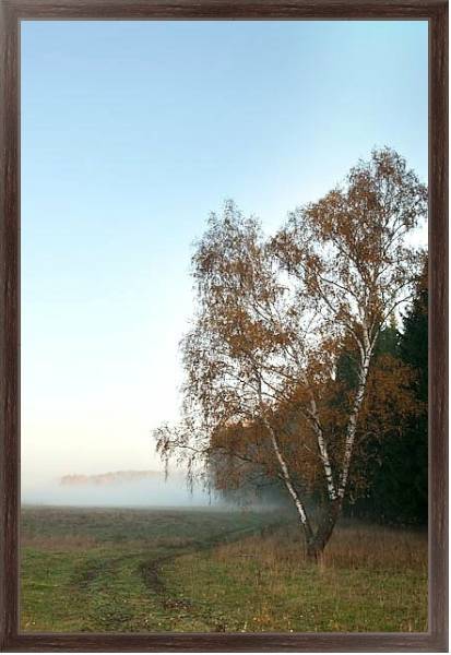 Постер Туманное утро 2 с типом исполнения На холсте в раме в багетной раме 221-02