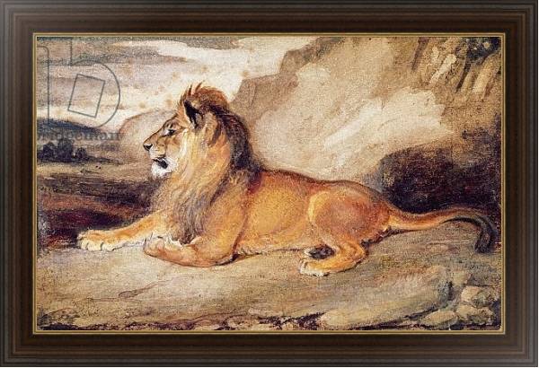 Постер Lion Resting с типом исполнения На холсте в раме в багетной раме 1.023.151
