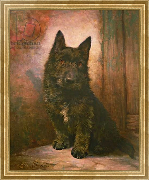 Постер Scottie Puppy с типом исполнения На холсте в раме в багетной раме NA033.1.051