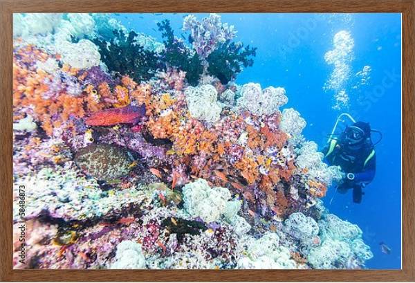 Постер Дайвер на коралловом рифе с типом исполнения На холсте в раме в багетной раме 1727.4310