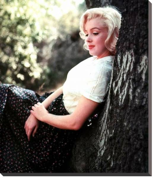 Постер Monroe, Marilyn 104 с типом исполнения На холсте без рамы
