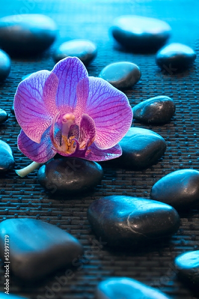 Постер Орхидея и камни 4 с типом исполнения На холсте без рамы