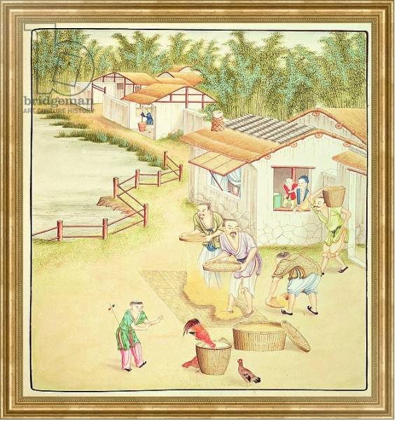 Постер Chinese Peasants Sifting Rice с типом исполнения На холсте в раме в багетной раме NA033.1.051