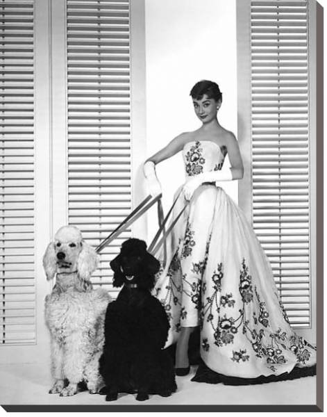Постер Hepburn, Audrey (Sabrina) 14 с типом исполнения На холсте без рамы