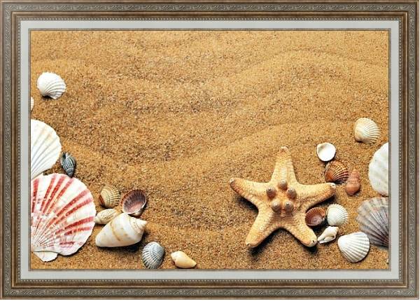 Постер Ракушки на песке с типом исполнения На холсте в раме в багетной раме 595.M52.330