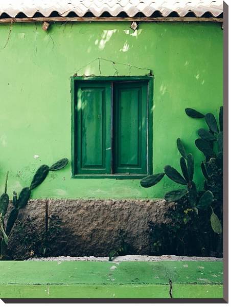Постер Зеленый дом с кактусами с типом исполнения На холсте без рамы