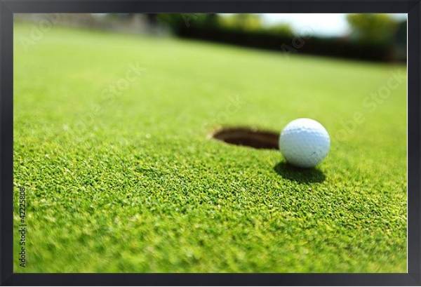 Постер Мяч для игры в гольф с типом исполнения На холсте в раме в багетной раме 1727.8010