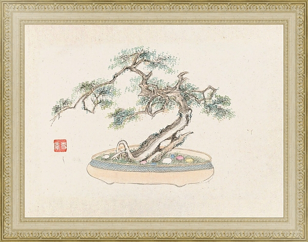 Постер Bonsai kabenzu, Pl.02 с типом исполнения Акварель в раме в багетной раме 484.M48.725