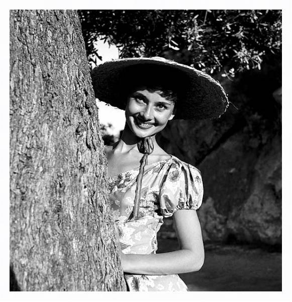 Постер Hepburn, Audrey 69 с типом исполнения На холсте в раме в багетной раме 221-03
