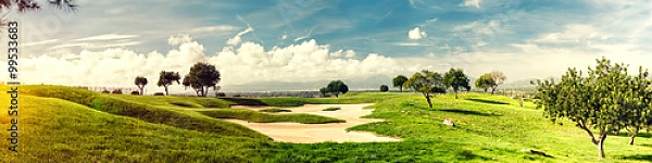 Постер Зеленые поля для гольфа с типом исполнения На холсте без рамы
