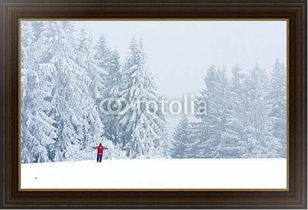 Постер Лыжник в зимнем лесу с типом исполнения На холсте в раме в багетной раме 1.023.151