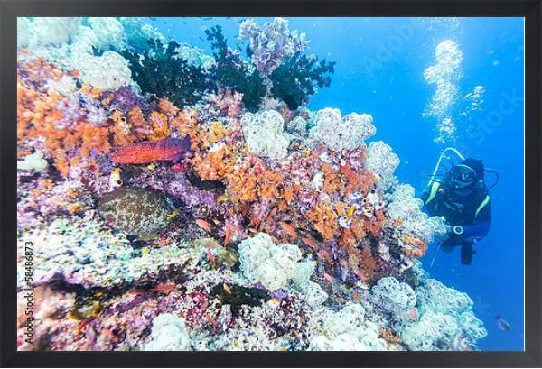 Постер Дайвер на коралловом рифе с типом исполнения На холсте в раме в багетной раме 1727.8010