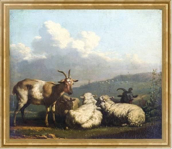 Постер Овцы и козлы с типом исполнения На холсте в раме в багетной раме NA033.1.051