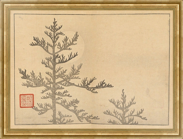 Постер Sakai Hōitsu gajō, Pl.16 с типом исполнения На холсте в раме в багетной раме NA033.1.051