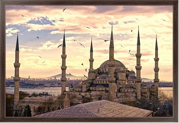 Постер Мечеть Султанахмет. Стамбул с типом исполнения На холсте в раме в багетной раме 221-02