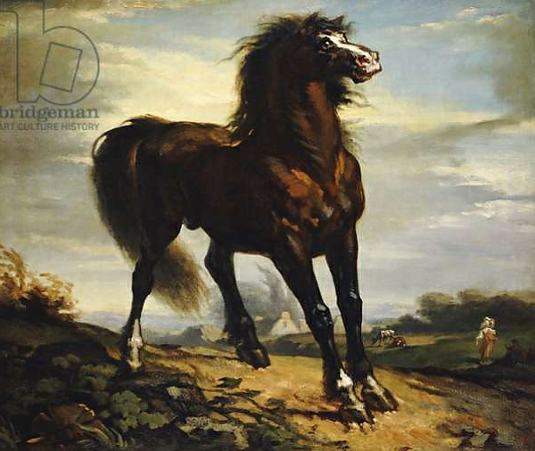 Постер The Horse с типом исполнения На холсте без рамы