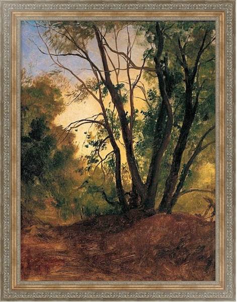 Постер Тропинка и деревья с типом исполнения На холсте в раме в багетной раме 484.M48.310