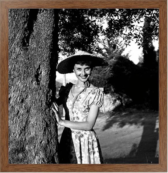 Постер Хепберн Одри 13 с типом исполнения На холсте в раме в багетной раме 1727.4310