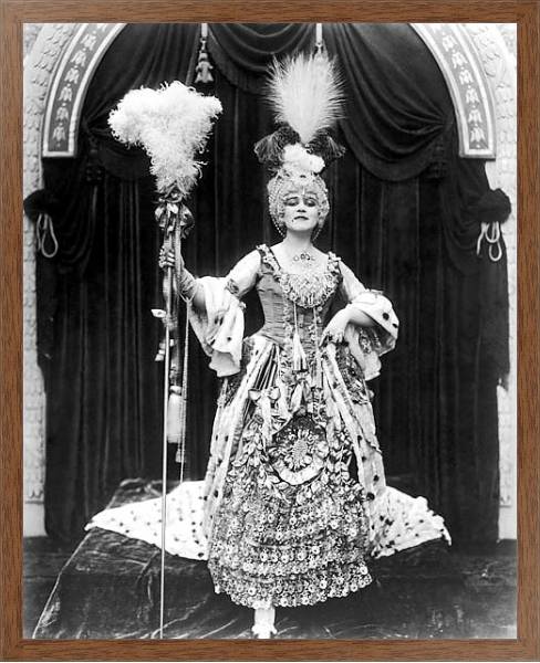 Постер Bara, Theda (Madame Du Barry с типом исполнения На холсте в раме в багетной раме 1727.4310