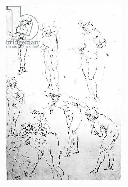 Постер Figural Studies for the Adoration of the Magi, c.1481 2 с типом исполнения На холсте в раме в багетной раме 221-03
