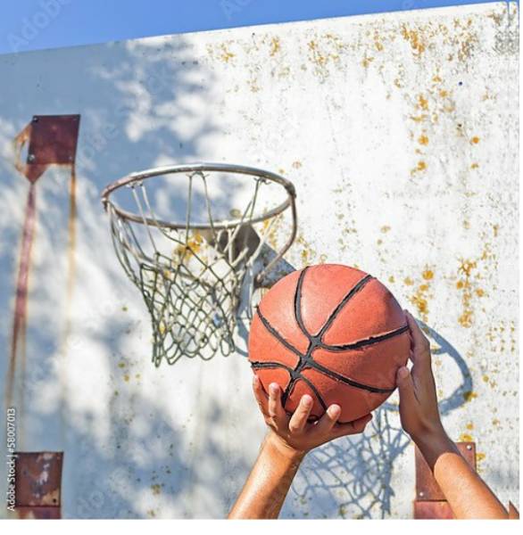 Постер Бросок в баскетбольную корзину с типом исполнения На холсте без рамы